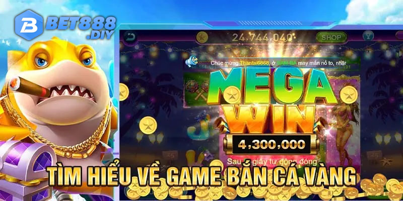 ban-ca-vang-thong-tin