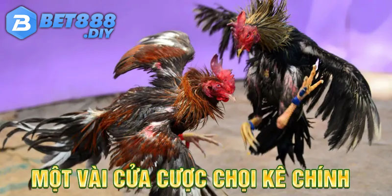 da-ga-88-cac-cua-cuoc