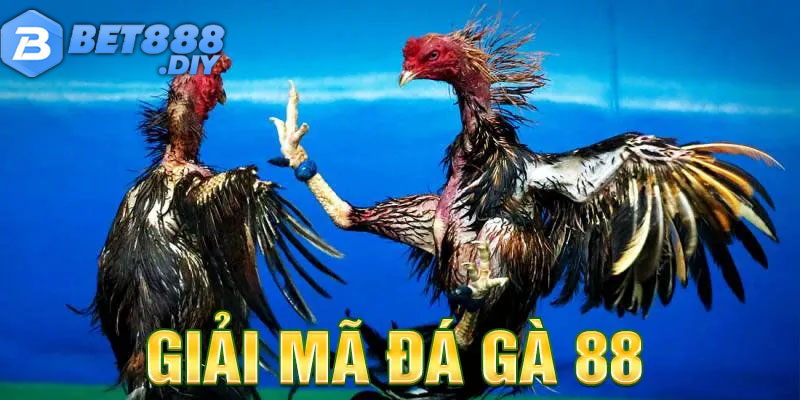 da-ga-88-uu-diem