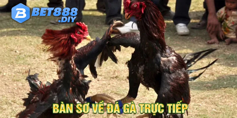 da-ga-truc-tiep-la-gi
