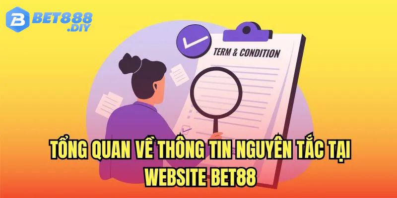 dieu-khoan-dieu-kien-bet88-tong-quan
