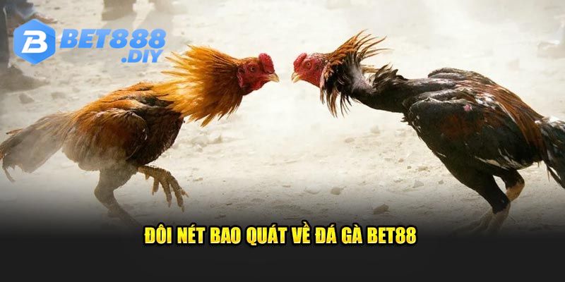 khach-hang-nam-bat-so-luoc-ve-chuyen-muc-da-ga-bet88