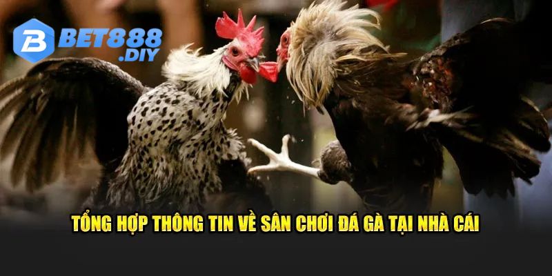 su-hop-tac-cua-sv388-cung-bet88-da-lam-nen-sanh-cuoc-dang-cap